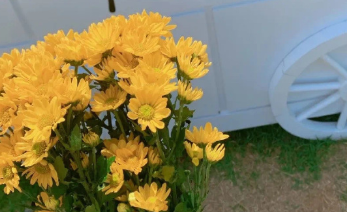 这些暖心情话搭配刷说说赞,空间想不红都难